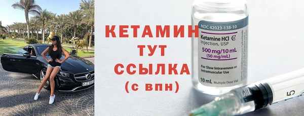 гашик Няндома