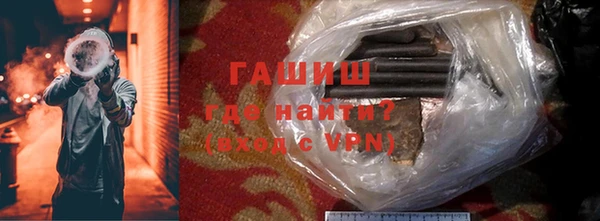 гашик Няндома