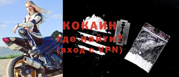 гашик Няндома