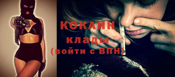 гашик Няндома