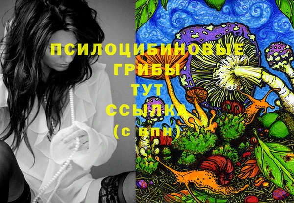 соль ск Нягань