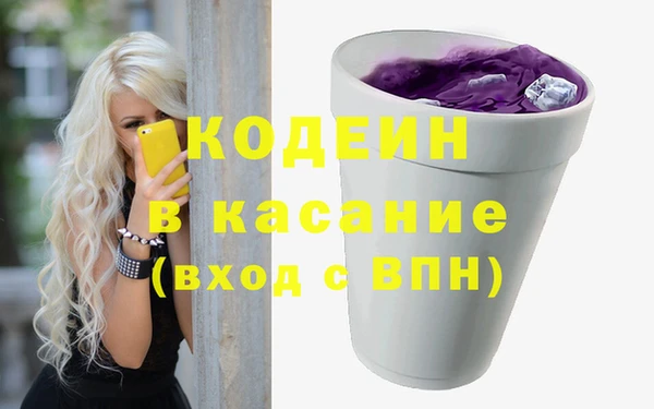 гашик Няндома