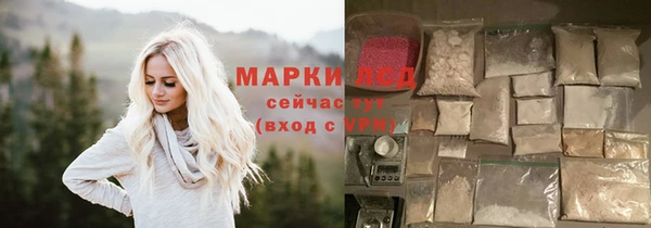 гашик Няндома