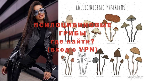 гашик Няндома