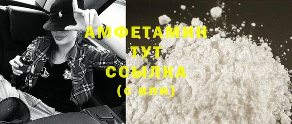 гашик Няндома