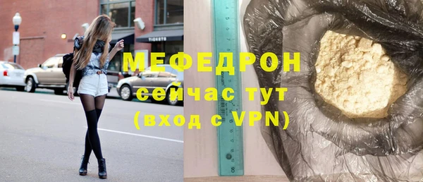 гашик Няндома