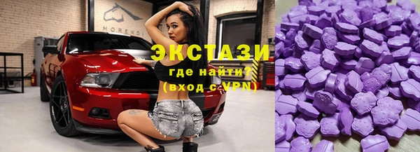 гашик Няндома