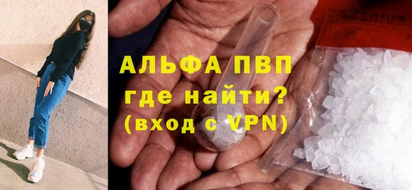 гашик Няндома