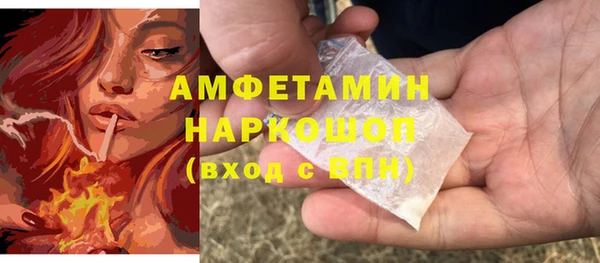 гашик Няндома