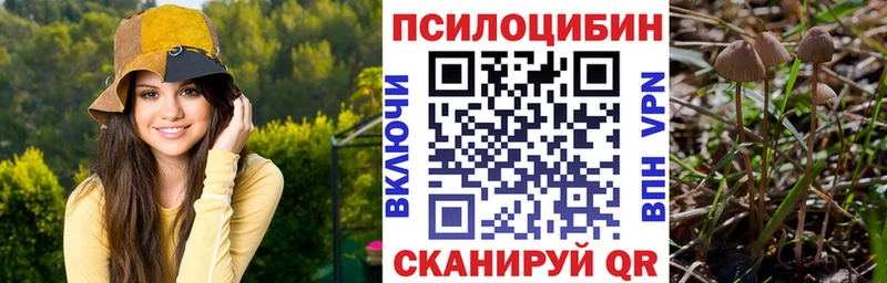 Псилоцибиновые грибы Psilocybe  Приволжск 